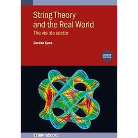 String Theory And The Real World (Second Edition)