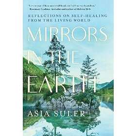 Mirrors In The Earth