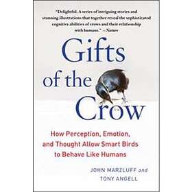 Gifts Of The Crow