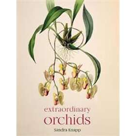 Extraordinary Orchids