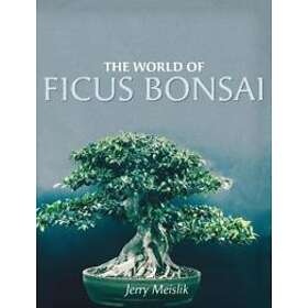 The World Of Ficus Bonsai