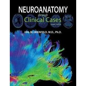 Neuroanatomy Through Clinical Cases