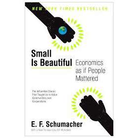 Small Is Beautiful: Economics As If People Mattered