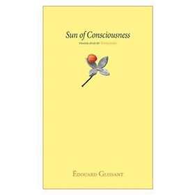 Sun Of Consciousness