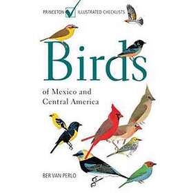 Birds Of Mexico And Central America
