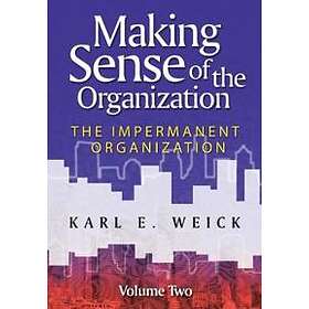 Making Sense Of The Organization, Volume 2