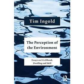 The Perception Of The Environment