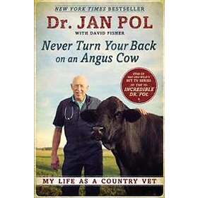 Never Turn Your Back On An Angus Cow