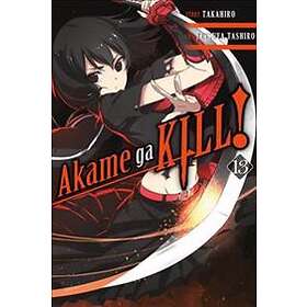 Akame Ga Kill!, Vol. 13