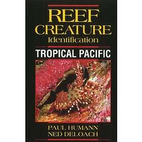 Reef Creature Identification