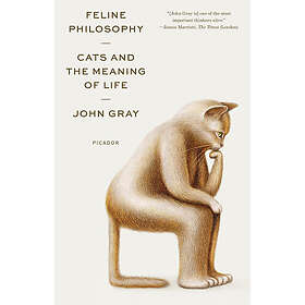 Feline Philosophy: Cats And The Meaning Of Life