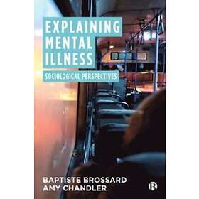 Explaining Mental Illness