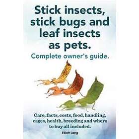 Stick Insects, Stick Bugs And Leaf Insects As Pets
