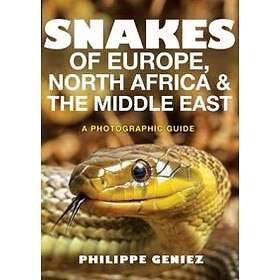 Snakes Of Europe, North Africa And The Middle East