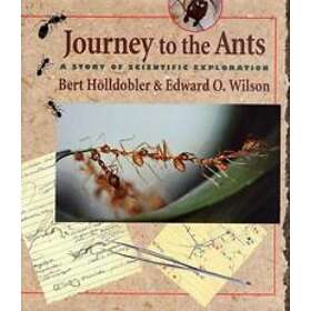 Journey To The Ants