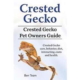 Crested Gecko. Crested Gecko Pet Owners Guide. Crested Gecko Care, Behavior, Diet, Interacting, Costs And Health.
