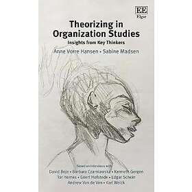 Theorizing In Organization Studies
