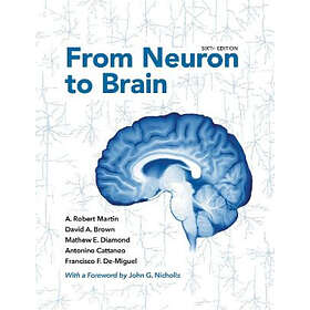From Neuron To Brain