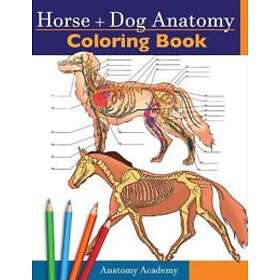Horse Dog Anatomy Coloring Book