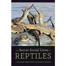 The Secret Social Lives Of Reptiles