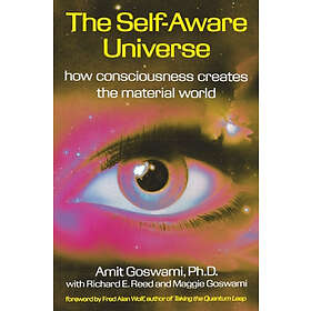 The Self-Aware Universe