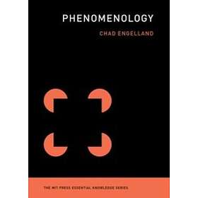 Phenomenology