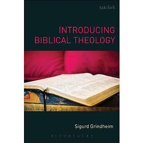 Introducing Biblical Theology
