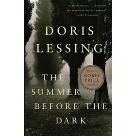 The Summer Before The Dark
