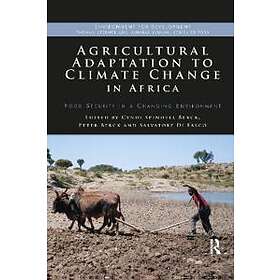 Agricultural Adaptation To Climate Change In Africa