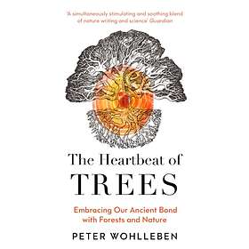 The Heartbeat Of Trees