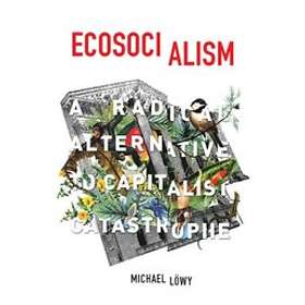 Ecosocialism