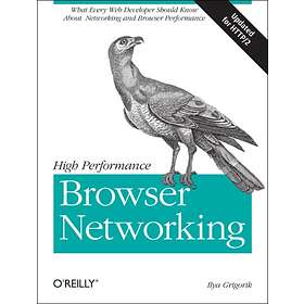 High Performance Browser Networking