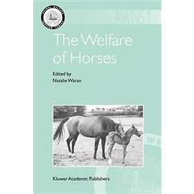 The Welfare Of Horses