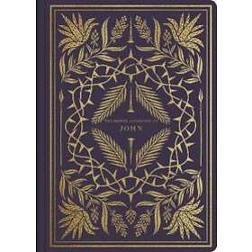 ESV Illuminated Scripture Journal: John