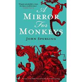 A Mirror For Monkeys