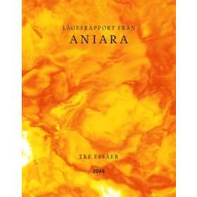 Lägesrapport Från Aniara : Tre Essäer