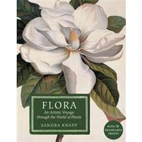 Flora: An Artistic Voyage Through The World Of Plants