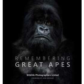 Remembering Great Apes