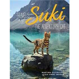 Travels Of Suki The Adventure Cat