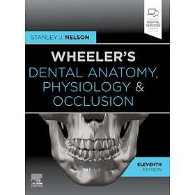 Wheeler's Dental Anatomy, Physiology And Occlusion