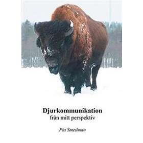 Djurkommunikation Från Mitt Perspektiv