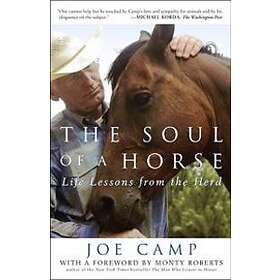 The Soul Of A Horse