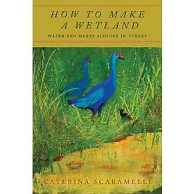 How To Make A Wetland