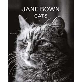Jane Bown: Cats