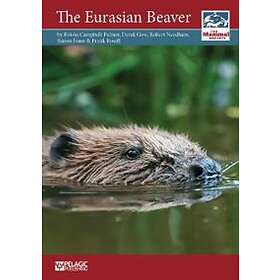 The Eurasian Beaver