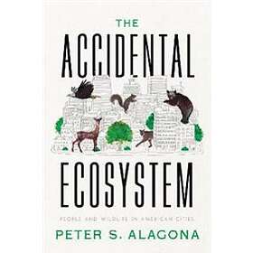 The Accidental Ecosystem