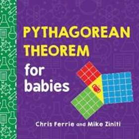 Pythagorean Theorem For Babies