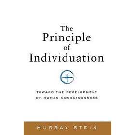 The Principle Of Individuation