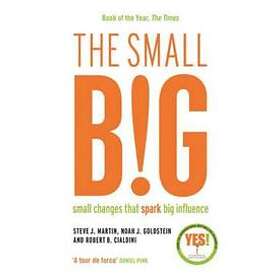 The Small BIG