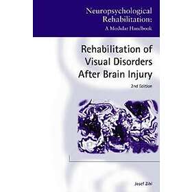 Rehabilitation Of Visual Disorders After Brain Injury